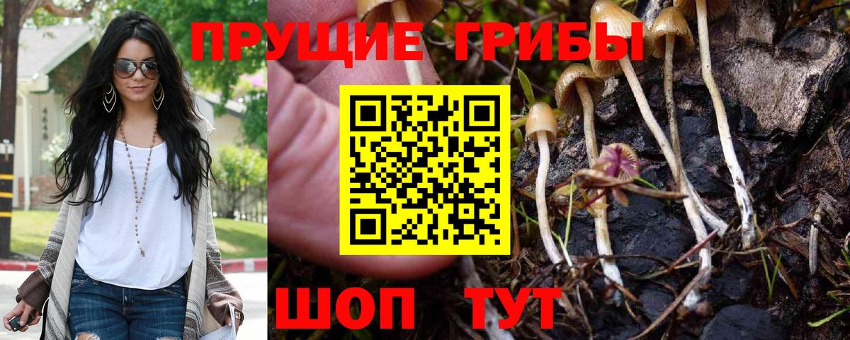 Унеча  Псилоцибиновые грибы Psilocybe  закладки  Вход с VPN 